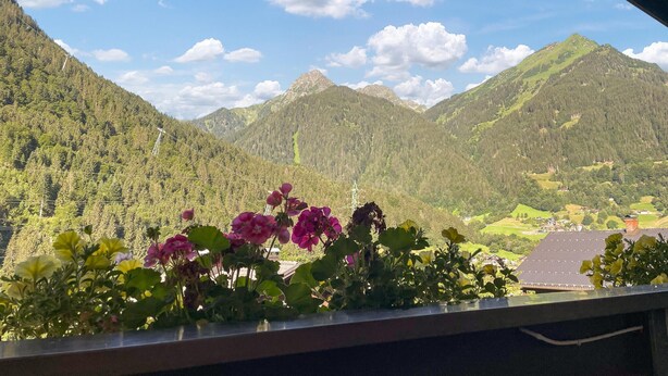 A mountain view with a house and a power line in the background.