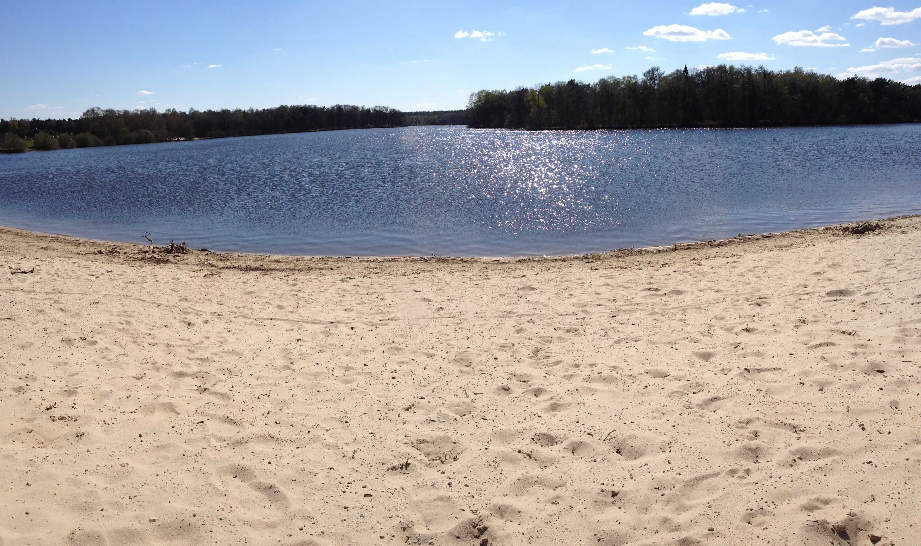 A sandy beach with a calm lake and a forest in the background.