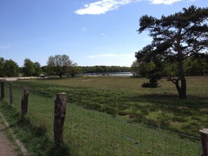 A fenced grassy area with trees and a body of water in the background. - Holiday house beach pearl (Garrel)