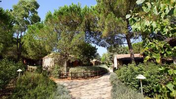 Parco della struttura