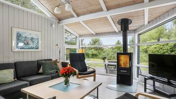 TV, fireplace, DVD player