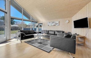 TV, fireplace, DVD player, table tennis