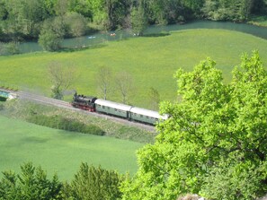 Un train circule sur des voies ferrées, avec un paysage verdoyant et des arbres au premier plan.