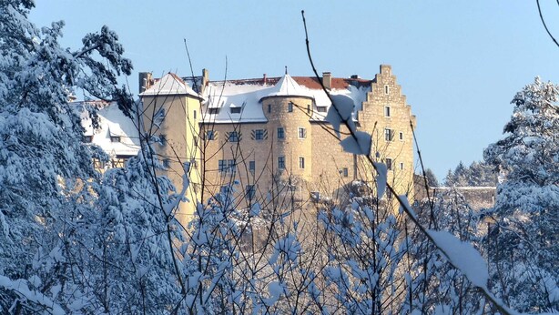 Eine historische Burg mit mehreren Türmen, umgeben von schneebedeckten Bäumen.