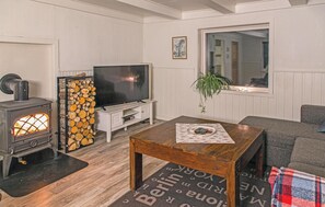 Télévision, cheminée, lecteur de DVD