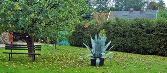 Lejlighed Mirada - Lejlighed