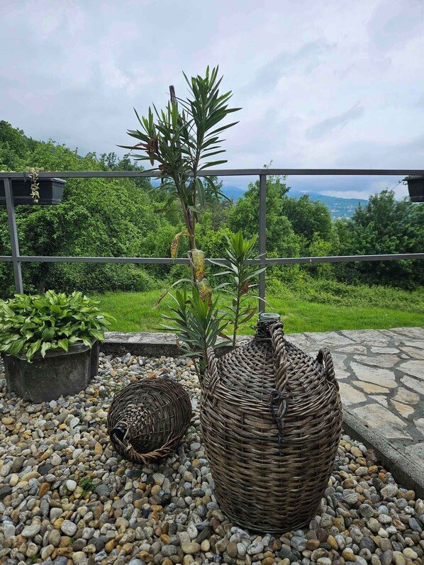 A balcony with a potted plant, a wicker basket, and a view of a lush green landscape.