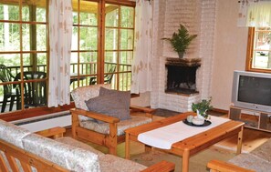 Una televisión, una chimenea