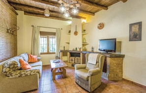TV, fireplace, DVD player