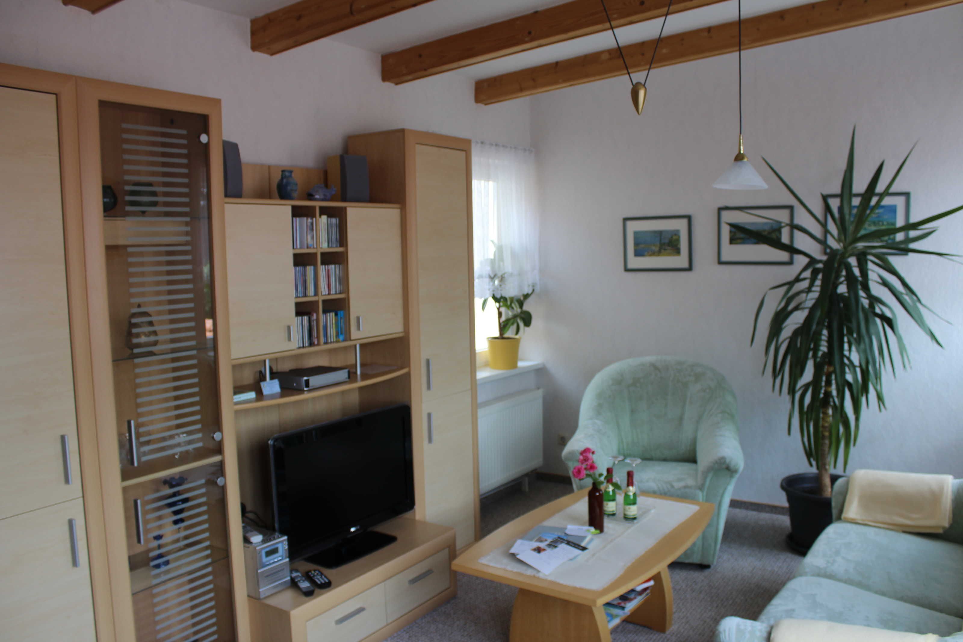 Fernseher