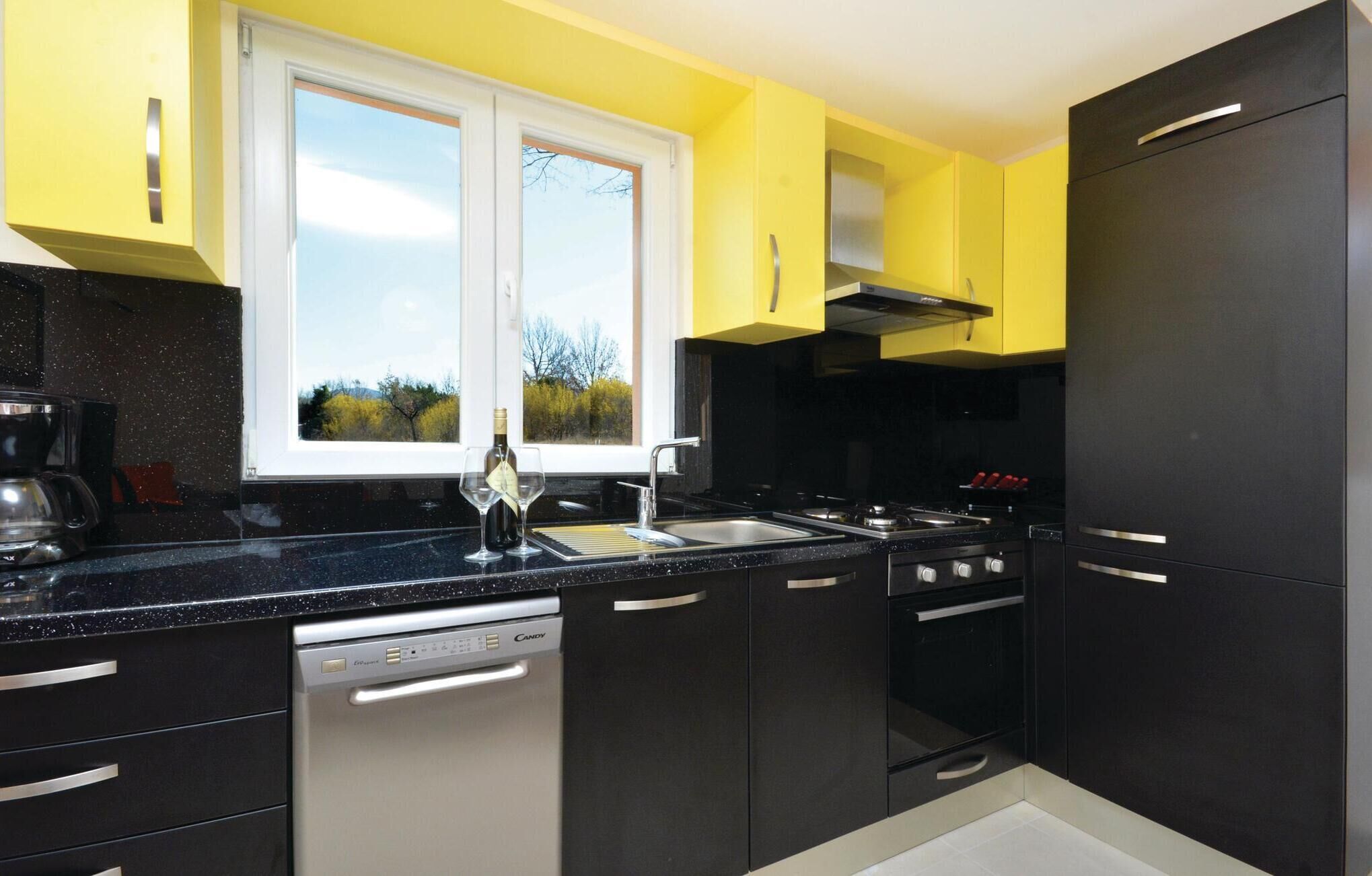 Une cuisine moderne avec des meubles de couleur noire, un lave-vaisselle, une cuisinière et une fenêtre donnant sur des arbres.