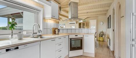 Fridge, stovetop, dishwasher, coffee/tea maker