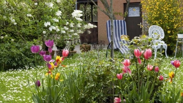 A garden with various flowers, a brick building, and outdoor furniture. - Bebensee, DZ DU / WC - Bebensee, Edda DZ (Neustadt in Holstein)