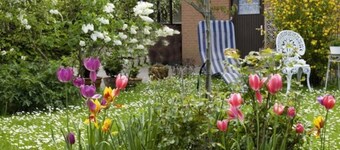 Bebensee, DZ DU / WC - Bebensee, Edda DZ