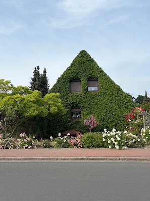 Exterior - Bebensee, DZ DU / WC - Bebensee, Edda DZ (Neustadt in Holstein)
