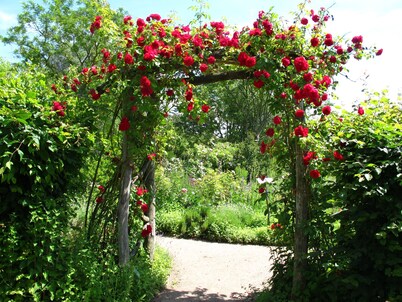 Teachers Home / Family accommodation - gardeners house