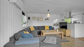 Tv, pejs, dvd-afspiller, bordfodbold