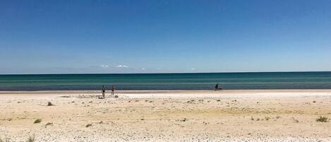 Plage Ă  proximitĂ©, pĂȘche rĂ©crĂ©ative