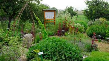 Jardines del alojamiento