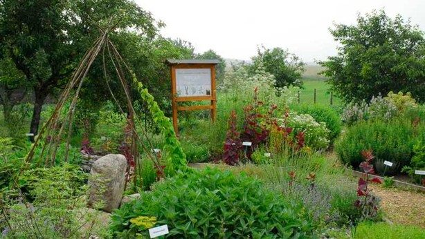 A garden with various plants and a wooden signboard. - Kräuter-Landhaus, Germany (Bad Schmiedeberg)