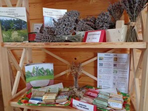 Imagen sin descripción, 3 de 11, botón