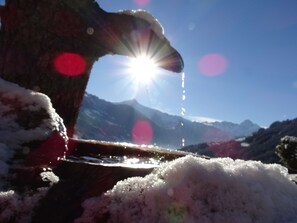 Unclassified image, 4 of 24, button