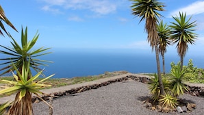Paisaje costero con una vista despejada del mar, que incluye un camino de grava y varias palmeras.