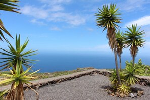 Immagine non classificata, 5 di 26, pulsante