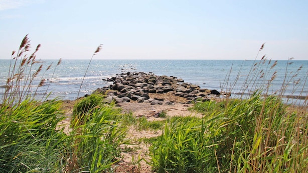 Eine felsige Küstenlinie mit spärlicher Vegetation und freiem Blick auf das Meer.