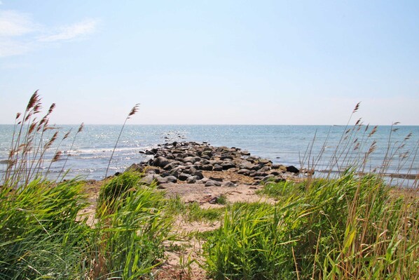 Tæt på stranden