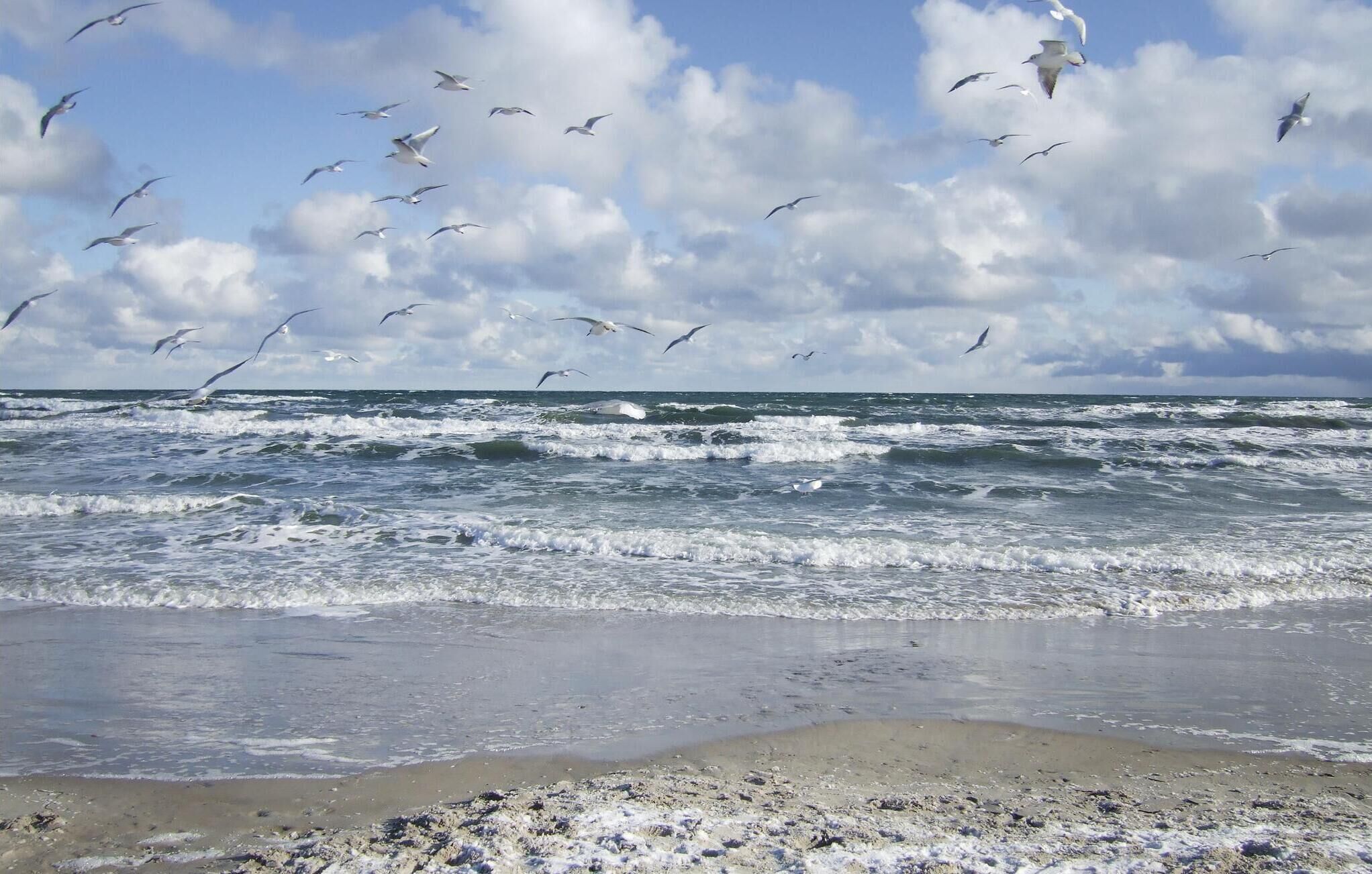 Strand