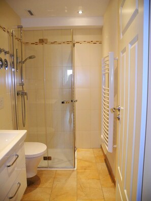 Shower, hair dryer, towels