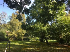 Unclassified image, 3 of 29, button