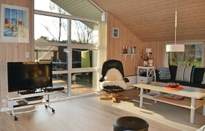 Fernseher, Kamin, DVD-Player