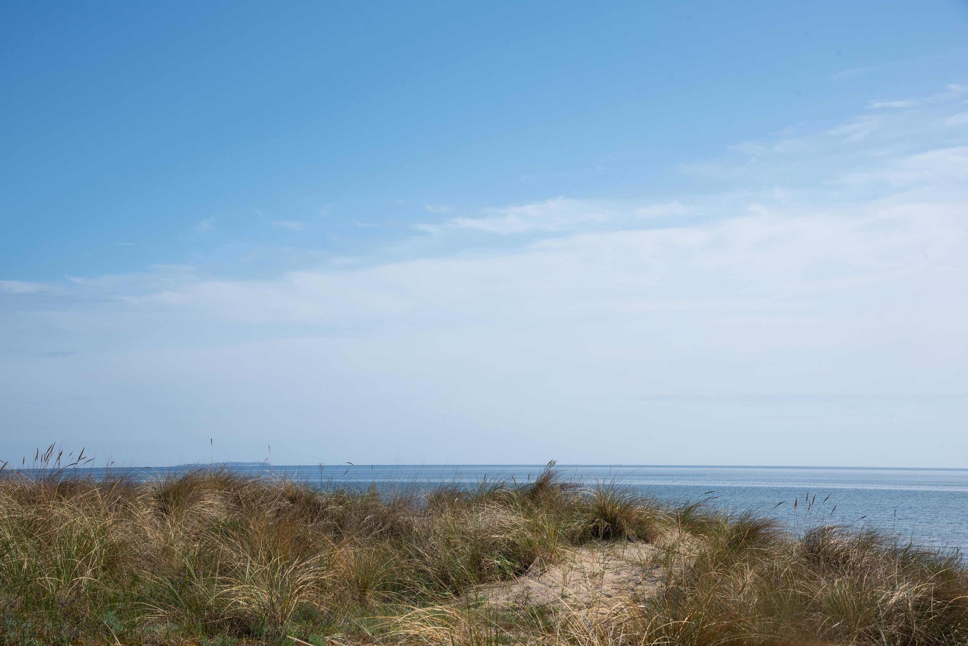 Een strand met duinen en de oceaan op de achtergrond.