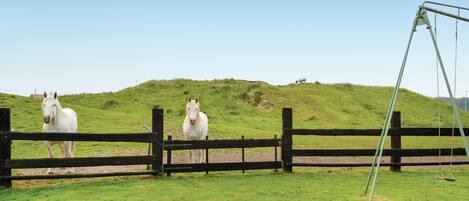 A fenced area with two white horses and a swing set.
