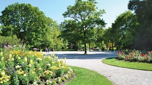 A park with a gravel path, green grass, and various flowering plants.