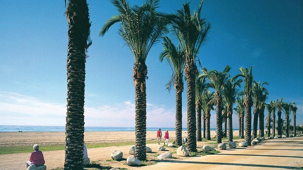 A coastal road lined with palm trees, leading to a beach. - Gorgeous home in Santa Susanna (Santa Susanna)