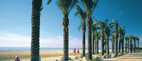 Plage Ă proximitĂ©, pĂȘche sur place