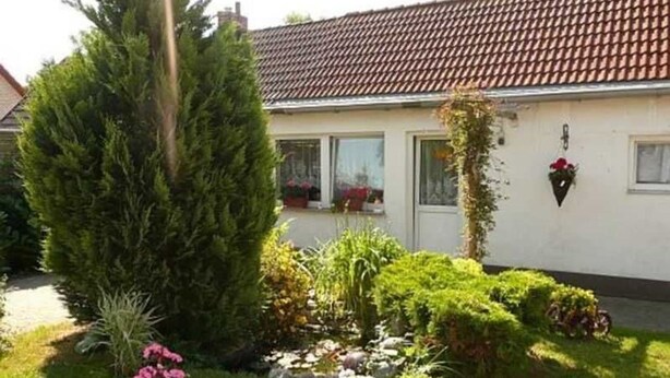 Una casa con tejado de baldosas, un jardín con diversas plantas y flores, y un pequeño estanque.