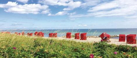 A beach with red chairs lined up and a grassy area with plants and flowers.