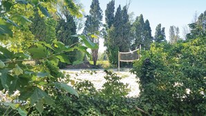 Una red de voleibol en un entorno natural con árboles y follaje.
