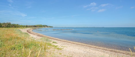 靠近海滩、钓鱼