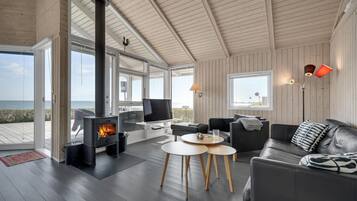 Tv, pejs, dvd-afspiller