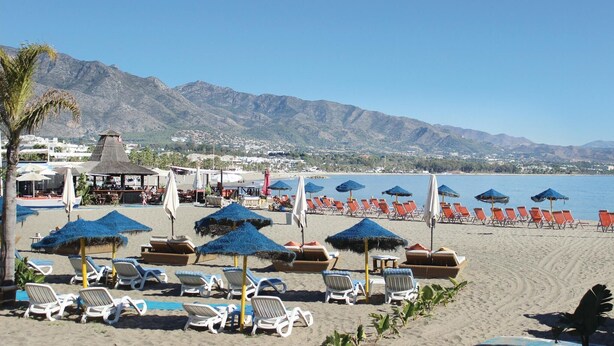 Une plage bordée de rangées de chaises longues et de parasols, avec un espace bar et des montagnes en arrière-plan.