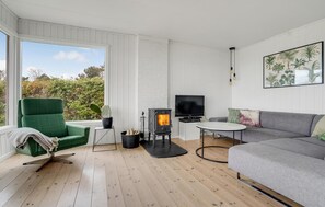 Smart TV, fireplace, DVD player