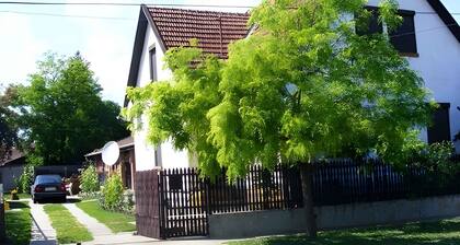 Holiday home with garden, barbecue and pavilion