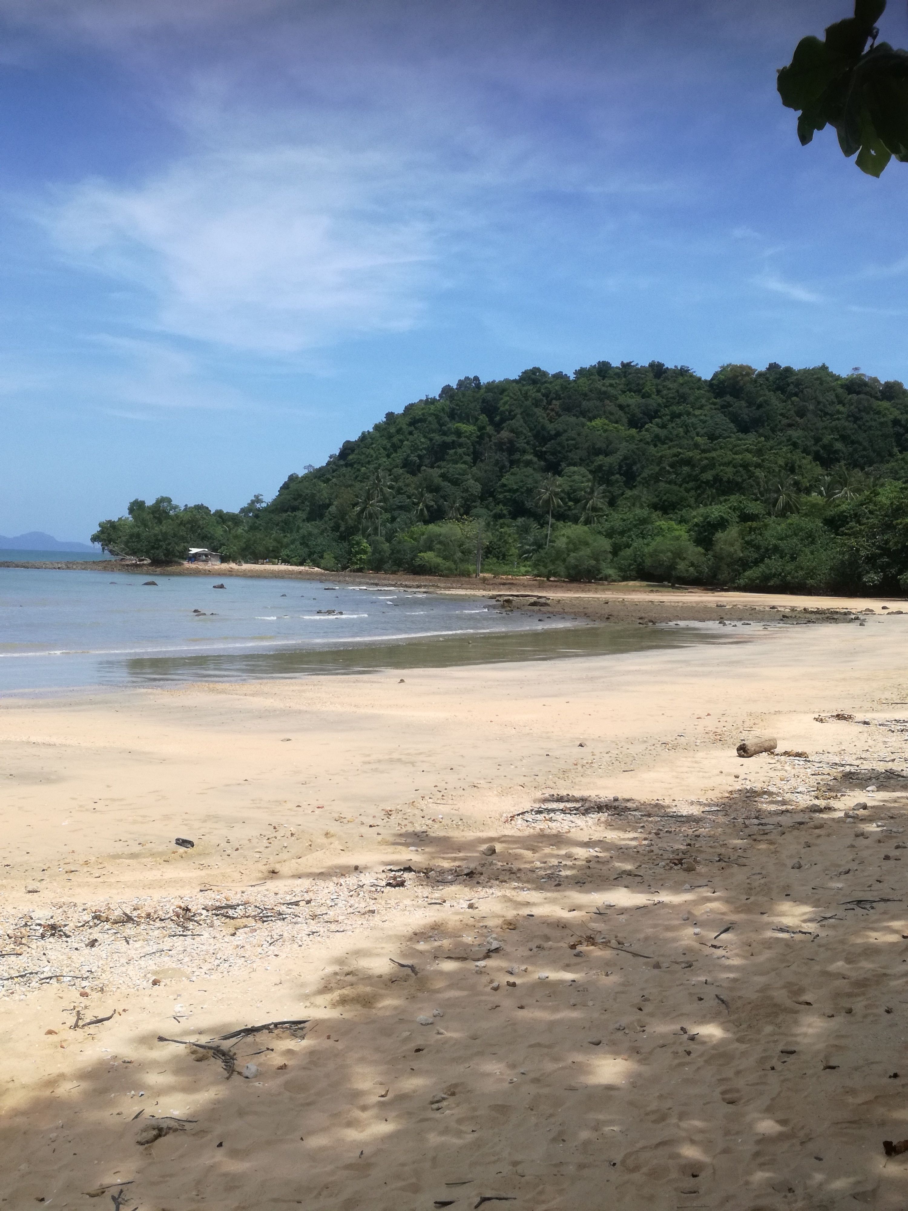 A beach with a sandy shore, calm water, and a forested hill in the background.