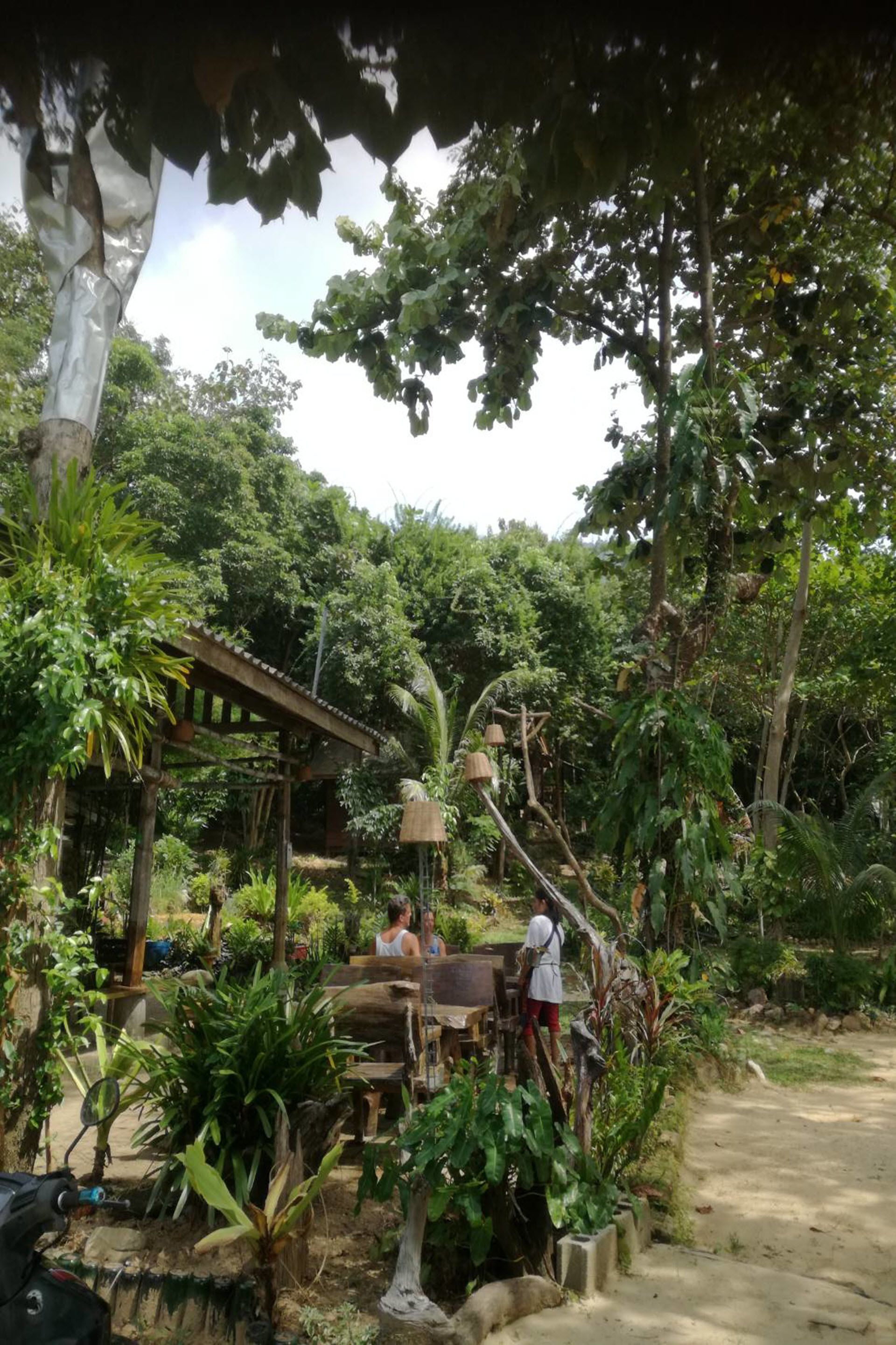 A rustic outdoor seating area with wooden tables and chairs, surrounded by lush greenery and trees.