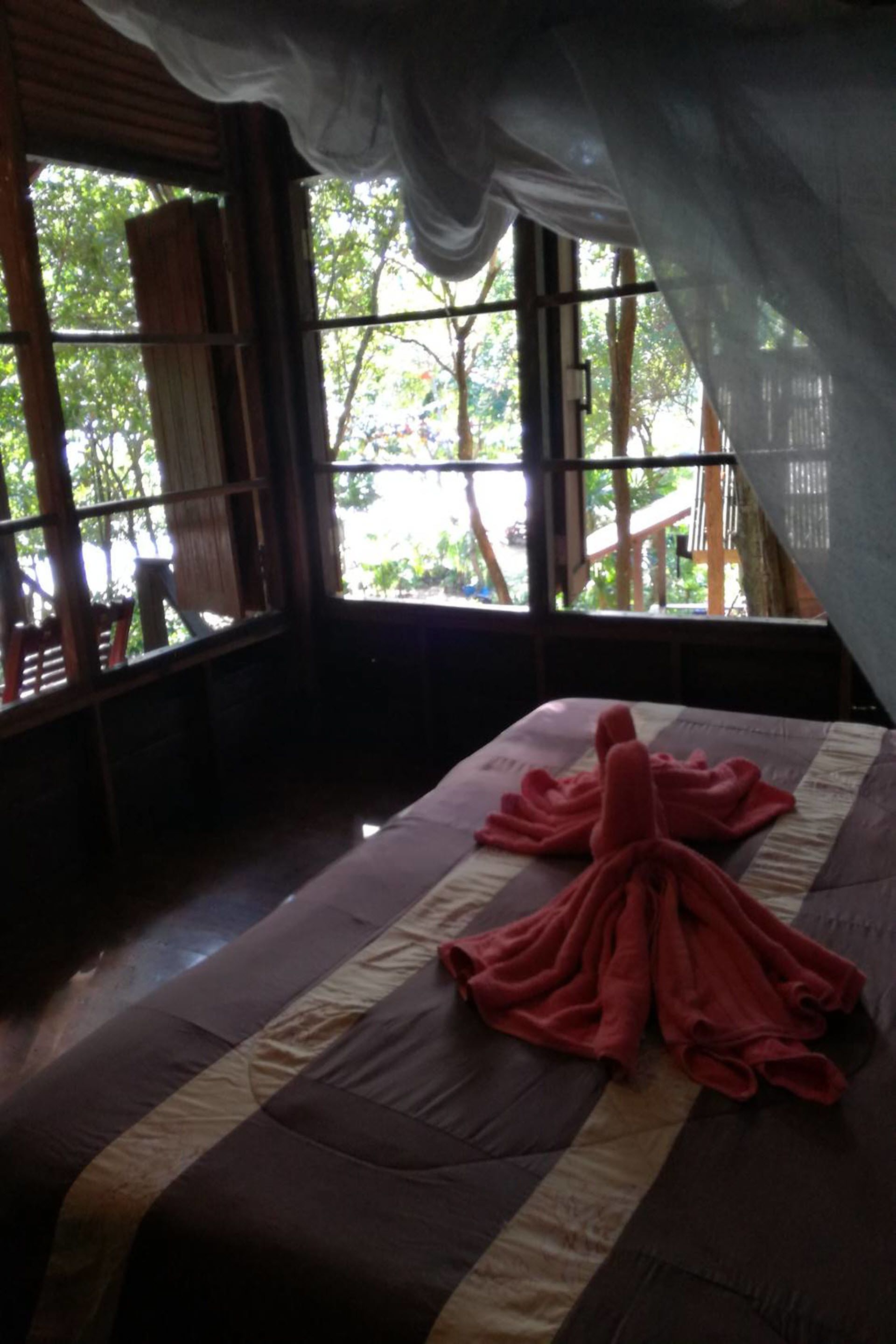 A room with a bed, a window, and a view of greenery outside.